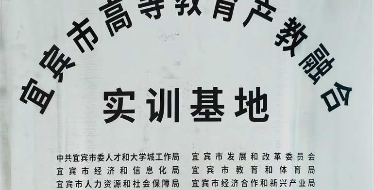 宜宾市高等教育产教融合实训基地