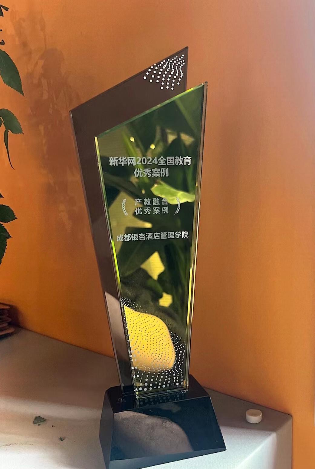 2024年12月新华网全国教育优秀案例