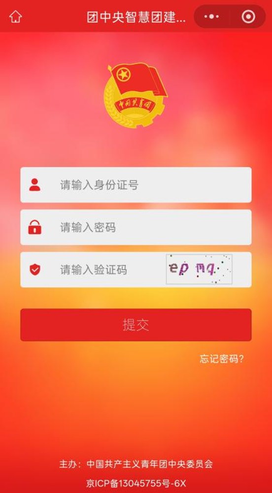 图片4